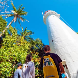 Half Day Low Isles Snorkelling Tour from Port Douglas 6