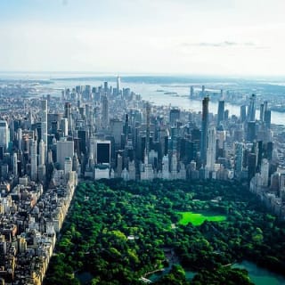 Shakespeare Outdoor Escape Game in New York Central Park 2