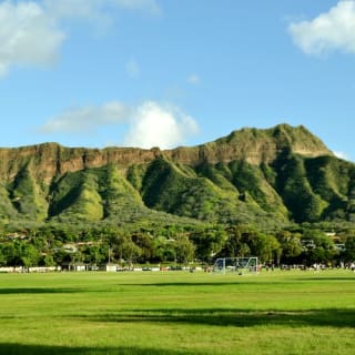Waikiki Trolley 6