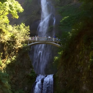 Explore Columbia River Gorge Half-Day Small-Group Tour  5