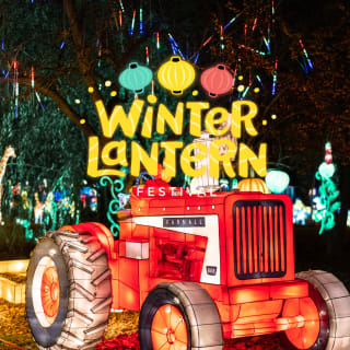 Winter Lantern Festival (Tysons, VA) - Gift Card 1