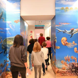 Musée Darwin-Dohrn 2
