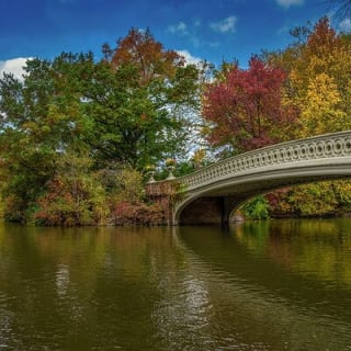 Shakespeare Outdoor Escape Game in New York Central Park 4