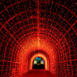 Lumières en Seine : le parcours illuminé et musical des fêtes de fin d’année 8