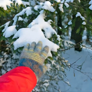 4 hours Winter View of the Oslofjord Walk Tour  12