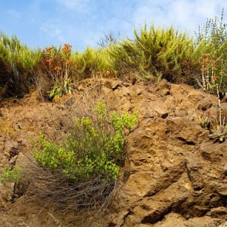 The Bronson Caves Tour 6
