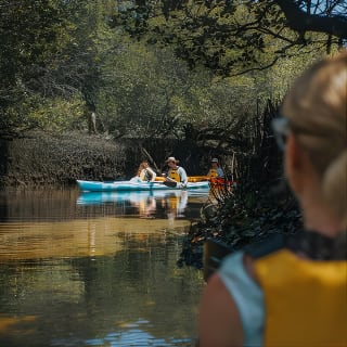 Dolphin Sanctuary Kayak Tour Adelaide 6