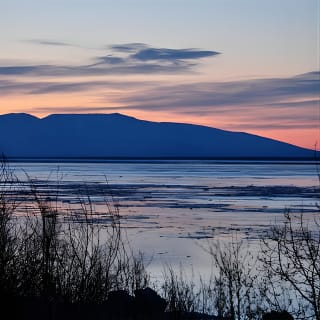 Afternoon Wilderness, Wildlife, Glacier Experience from Anchorage 10