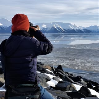Anchorage to Wilderness Wildlife Glacier Value 19