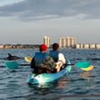 Kayak Dolphin Experience en Virginia Beach 2