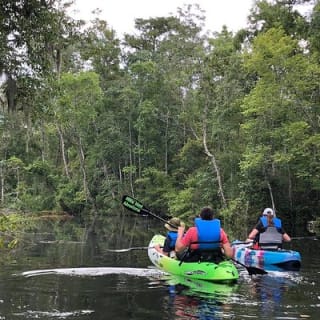 Self-Guided Kayaking: Real Florida Adventure 1