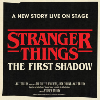 Stranger Things: The First Shadow 2
