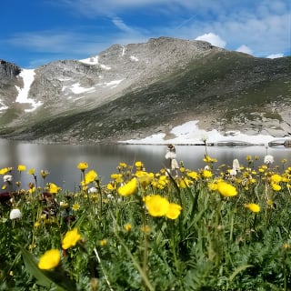 Mt. Evans Summer Mountain Summit 1