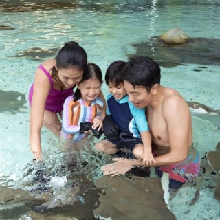 Adventure Cove Waterpark™ 5