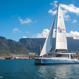 Sailing in The Bay by Catamaran (One Hour) 5