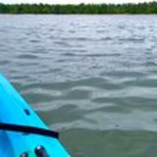 Kayak Dolphin Experience en Virginia Beach 6