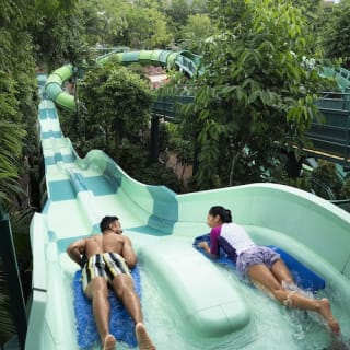 Adventure Cove Waterpark™ 6
