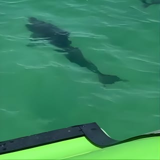 Private Hydrojet Tour in Destin 6