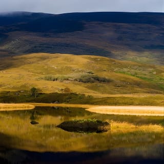 Ring of Kerry Day Tour from Limerick: Including Killarney National Park 14