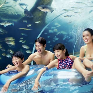 Adventure Cove Waterpark™ 8