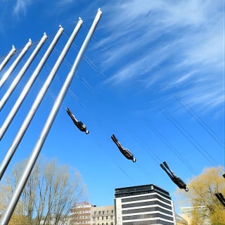 Oslo City Walks - The City of Contrasts 2