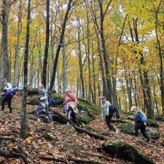 Mountaintop Yoga & Meditation Hike in Asheville 32
