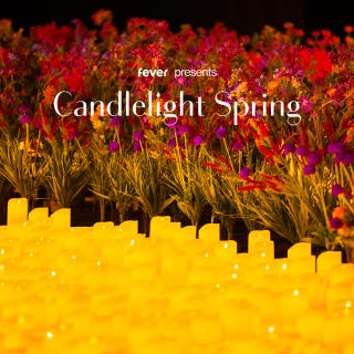 Candlelight Spring: Tributo Flamenco 2