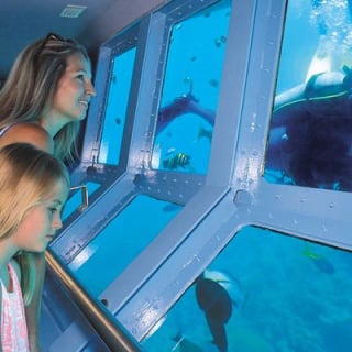 Quicksilver Great Barrier Reef Snorkel Cruise from Port Douglas 3