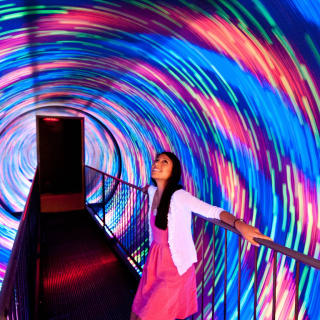 Ripley's Believe It Or Not! The Iconic Interactive Exhibit 2