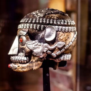Ripley's Believe It Or Not! The Iconic Interactive Exhibit 5