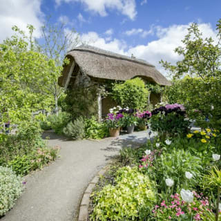 RHS Garden Rosemoor: Entry Ticket 1