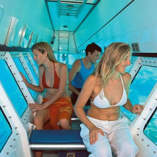Quicksilver Great Barrier Reef Snorkel Cruise from Port Douglas 6
