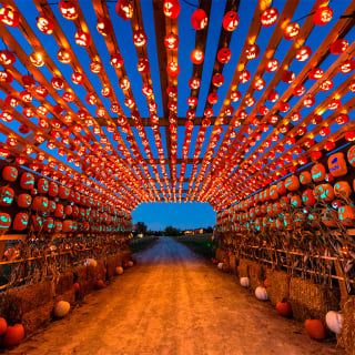 Pumpkins After Dark and Big Rivers Amusement Park 3