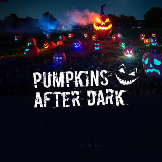 Pumpkins After Dark and Big Rivers Amusement Park 1
