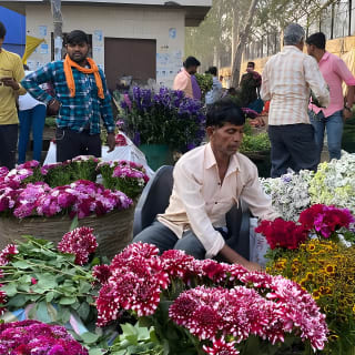 Tour privado de medio día del Mercado de Flores de Delhi 4