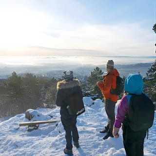 4 hours Winter View of the Oslofjord Walk Tour  13