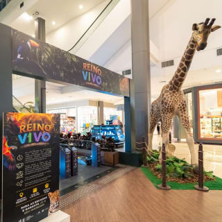 Reino Vivo 6