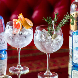 Gin Tasting Experience 2