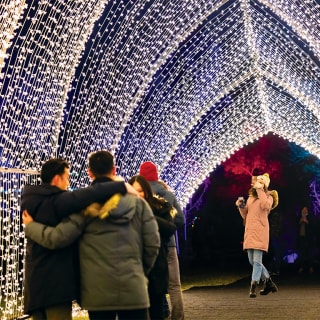 Lightscape en el Jardín Botánico de Brooklyn 2