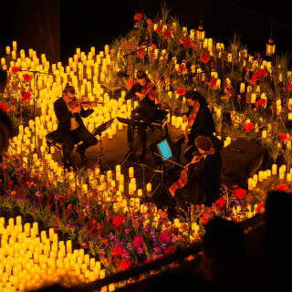 Candlelight Spring: 時代を超えて愛されるクラシック名曲集 3