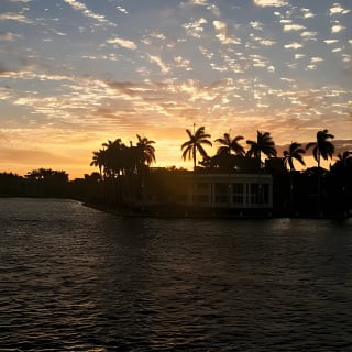 Jungle Queen Riverboat 90-Minute Narrated Sightseeing Cruise in Fort Lauderdale 14