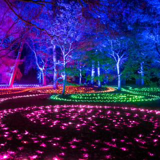 Lightscape en el Jardín Botánico de Brooklyn 3