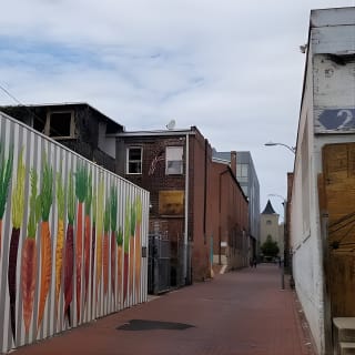 Historic Alleyways of Washington, DC 5