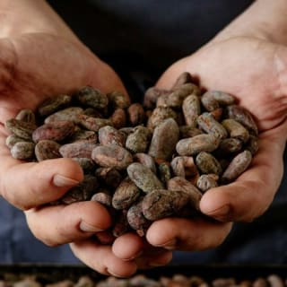 Torino: Tour guidato della fabbrica di cioccolato + Degustazione 3