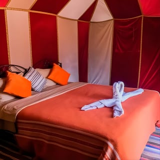 Nuit à dos de chameau dans le désert de Merzouga/ Erg Chebbi 8