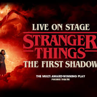 Stranger Things : The First Shadow 1