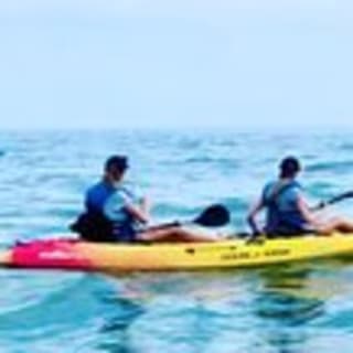 Dolphin Kayak Tour in Virginia Beach 2