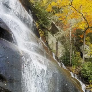 Waterfalls and Blue Ridge Parkway Hiking Tour with Expert Naturalist 7