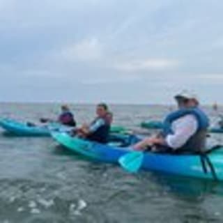 Dolphin Kayak Tour in Virginia Beach 3
