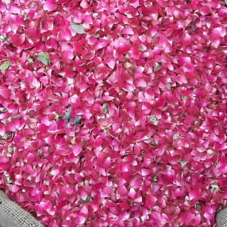 Take in the Beauty of an Early Morning with Fresh Flowers  7